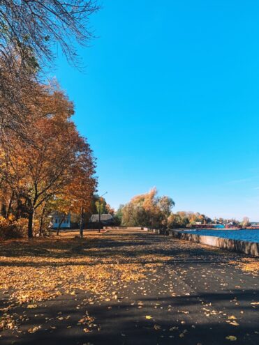 Осташков вошел в ТОП-10 популярных направлений для бронирования коттеджей