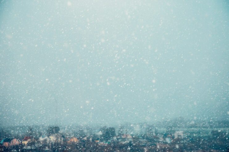 В Тверской области ожидается слабая метель В Тверской области ожидается слабая метель