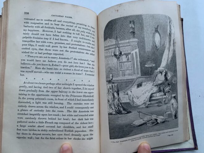 Тайны старых переплетов: Этот развесистый Задонский