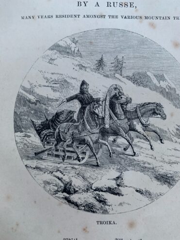 Тайны старых переплетов: Этот развесистый Задонский