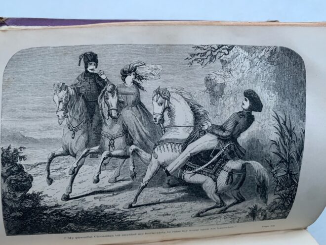 Тайны старых переплетов: Этот развесистый Задонский