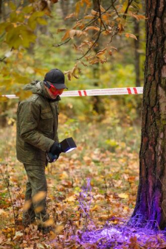 В лесу в Тверской области нашли останки человека В лесу в Тверской области нашли останки человека