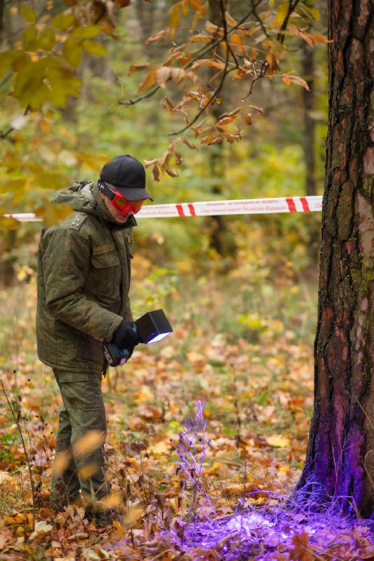 В лесу в Тверской области нашли останки человека В лесу в Тверской области нашли останки человека
