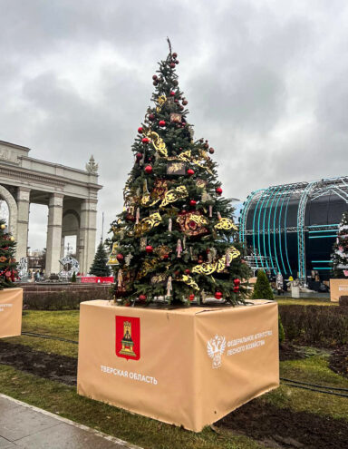 Новогодняя ель Тверской области украсила ВДНХ на Международной выставке «Россия»
