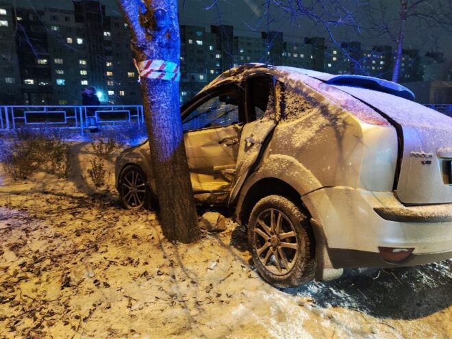 В Твери молодой водитель не справился с управлением и врезался в дерево