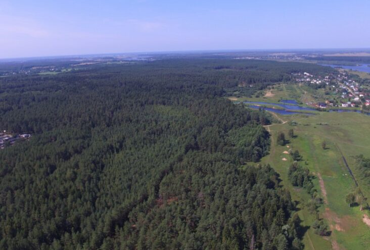 В Тверской области уменьшился объем незаконных рубок на землях лесного фонда