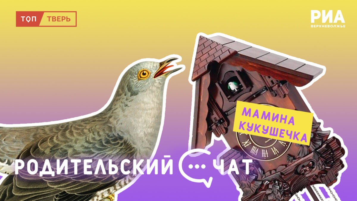 «Родительский чат»: мамина кукушечка «Родительский чат»: мамина кукушечка