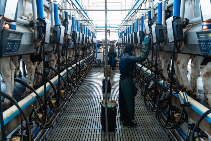 Предприятие изготовило почти тонну молочной продукции из 30 кг сырья