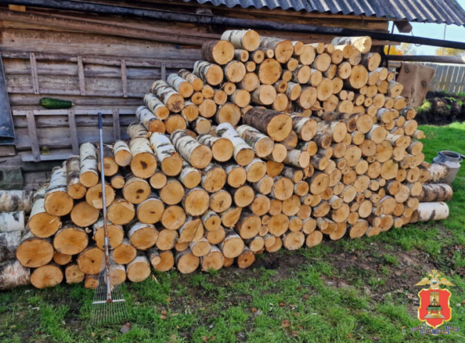 Пенсионер из Тверской области спилил 32 березы и стал фигурантом уголовного дела Пенсионер из Тверской области спилил 32 березы и стал фигурантом уголовного дела
