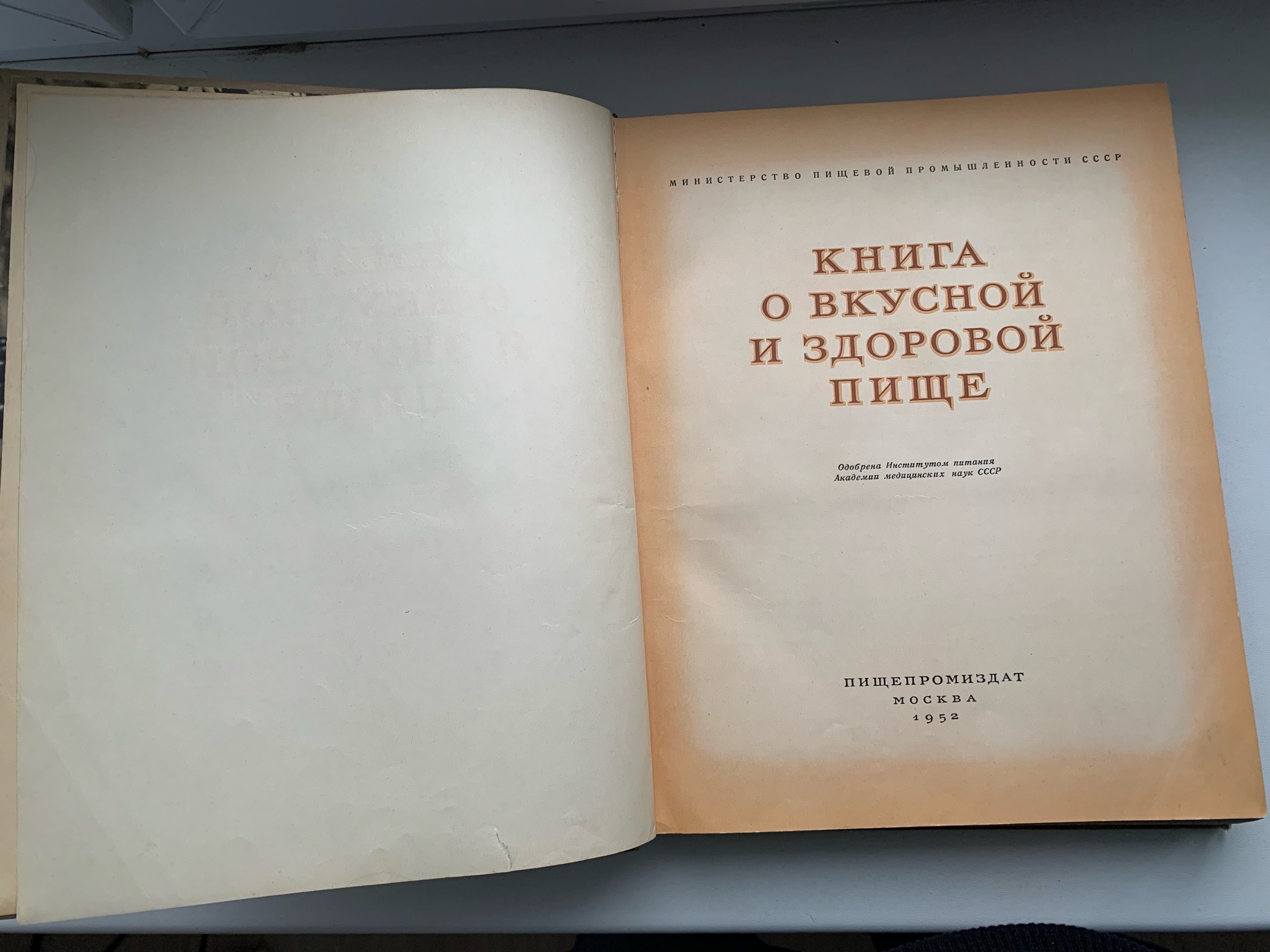 Тайны старых переплетов: в поисках утраченного салата