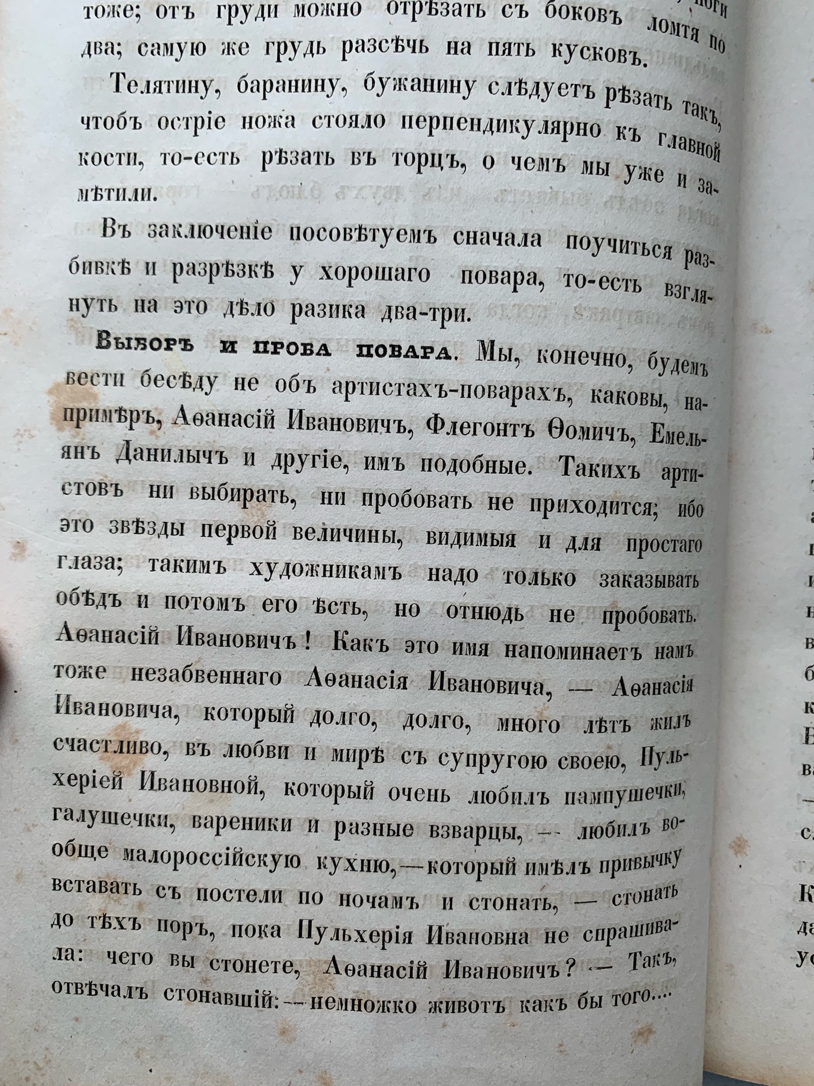 Тайны старых переплетов: в поисках утраченного салата
