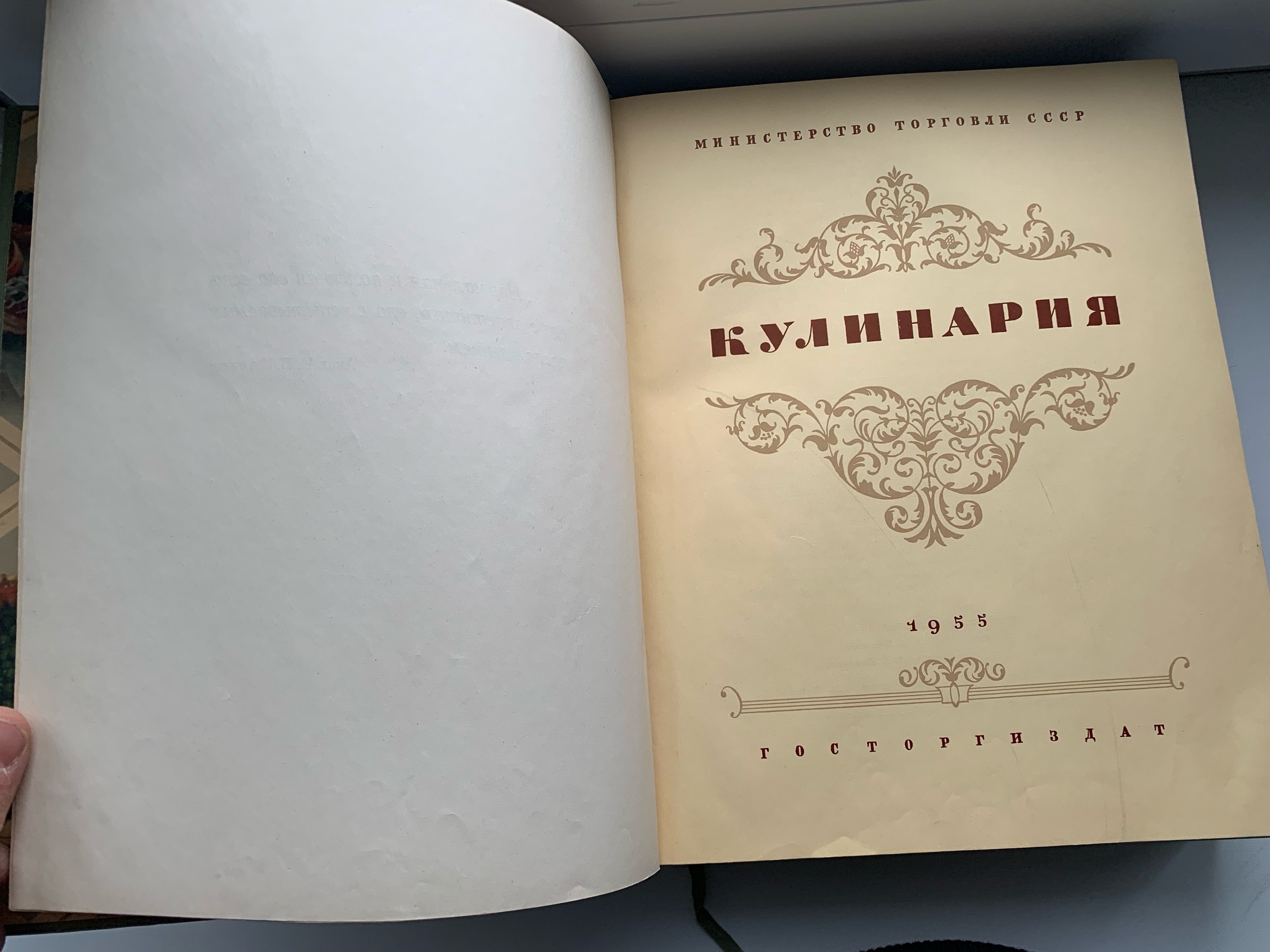 Тайны старых переплетов: в поисках утраченного салата
