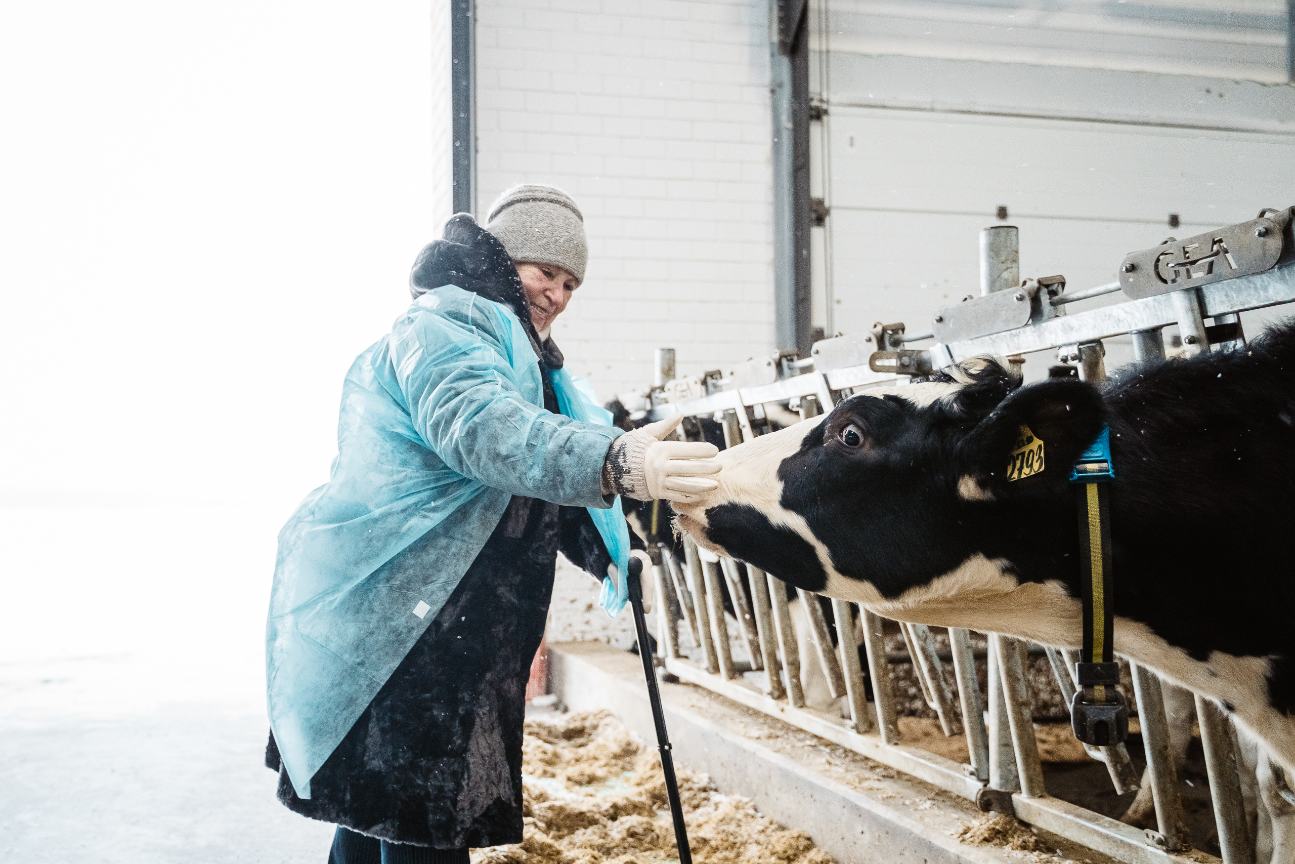 «Мы кормим Тверь…»: ЗАО «Калининское» организовало экскурсию и праздник для детей войны и ветеранов труда