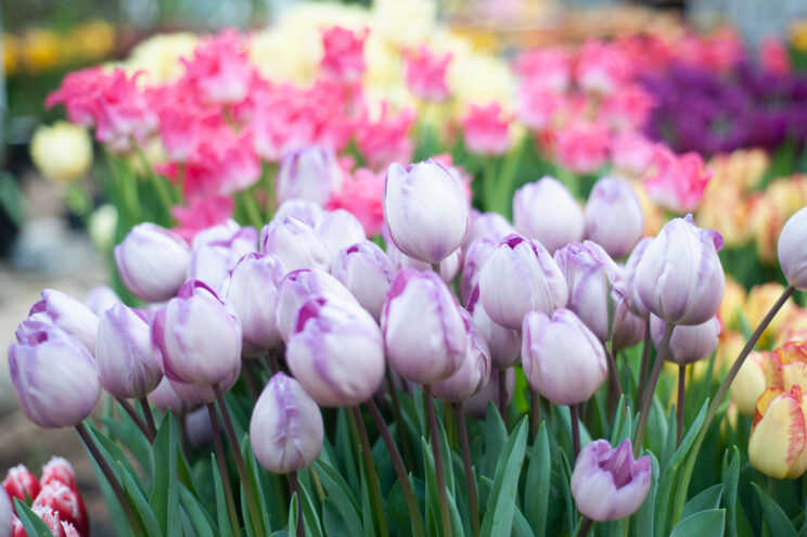 В Твери труженице тыла исполнилось 104 года