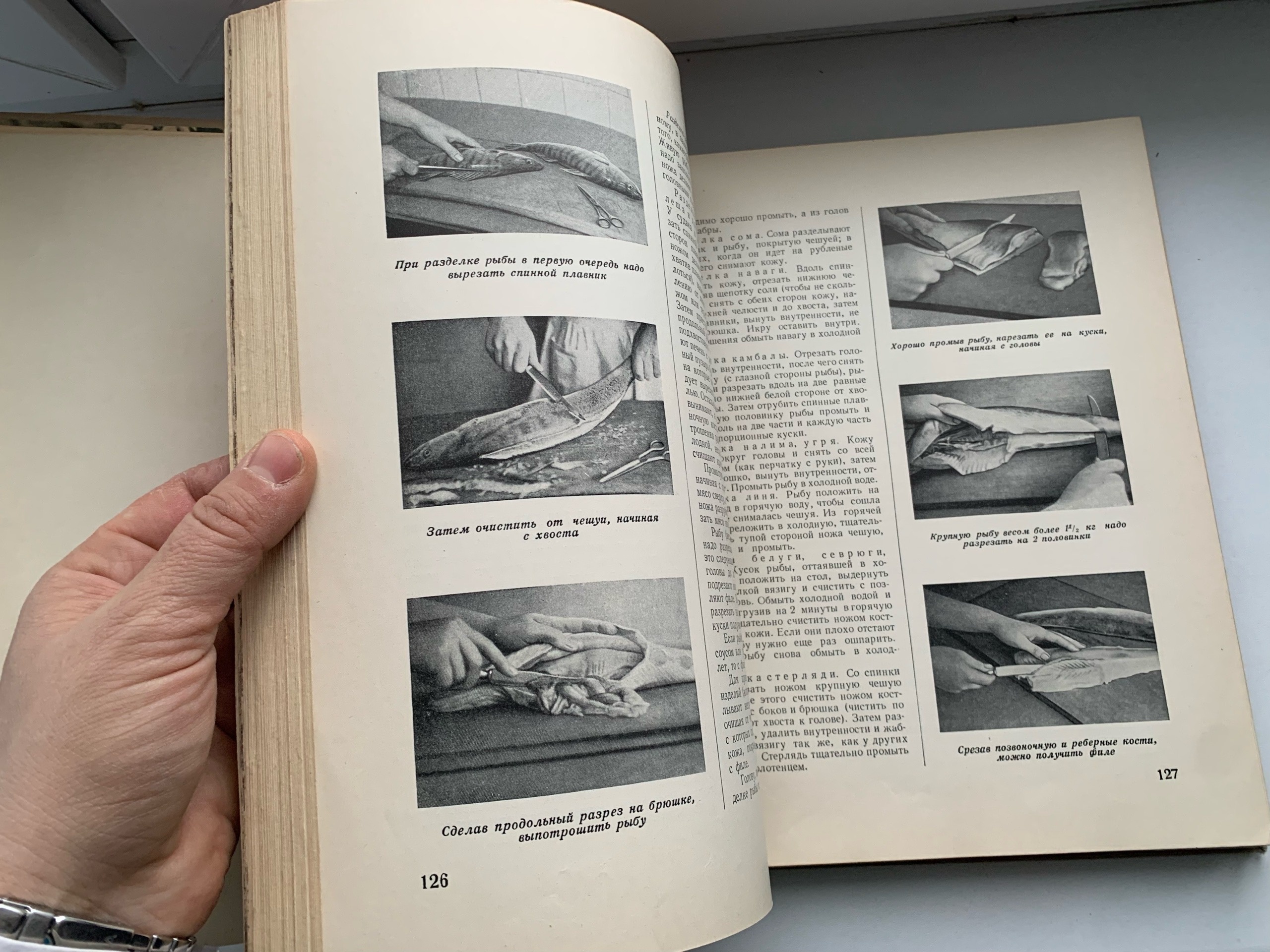 Тайны старых переплетов: в поисках утраченного салата