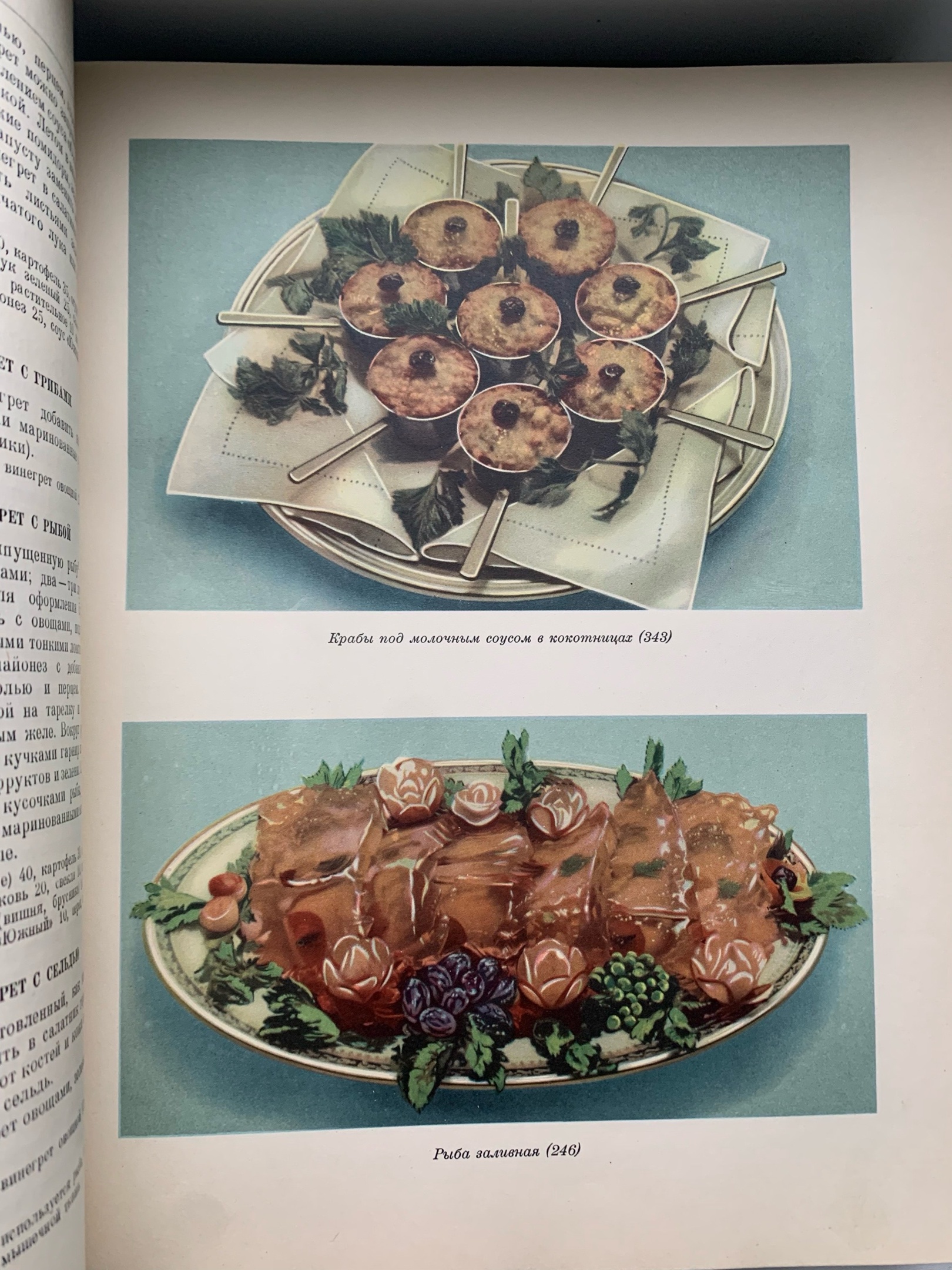 Тайны старых переплетов: в поисках утраченного салата