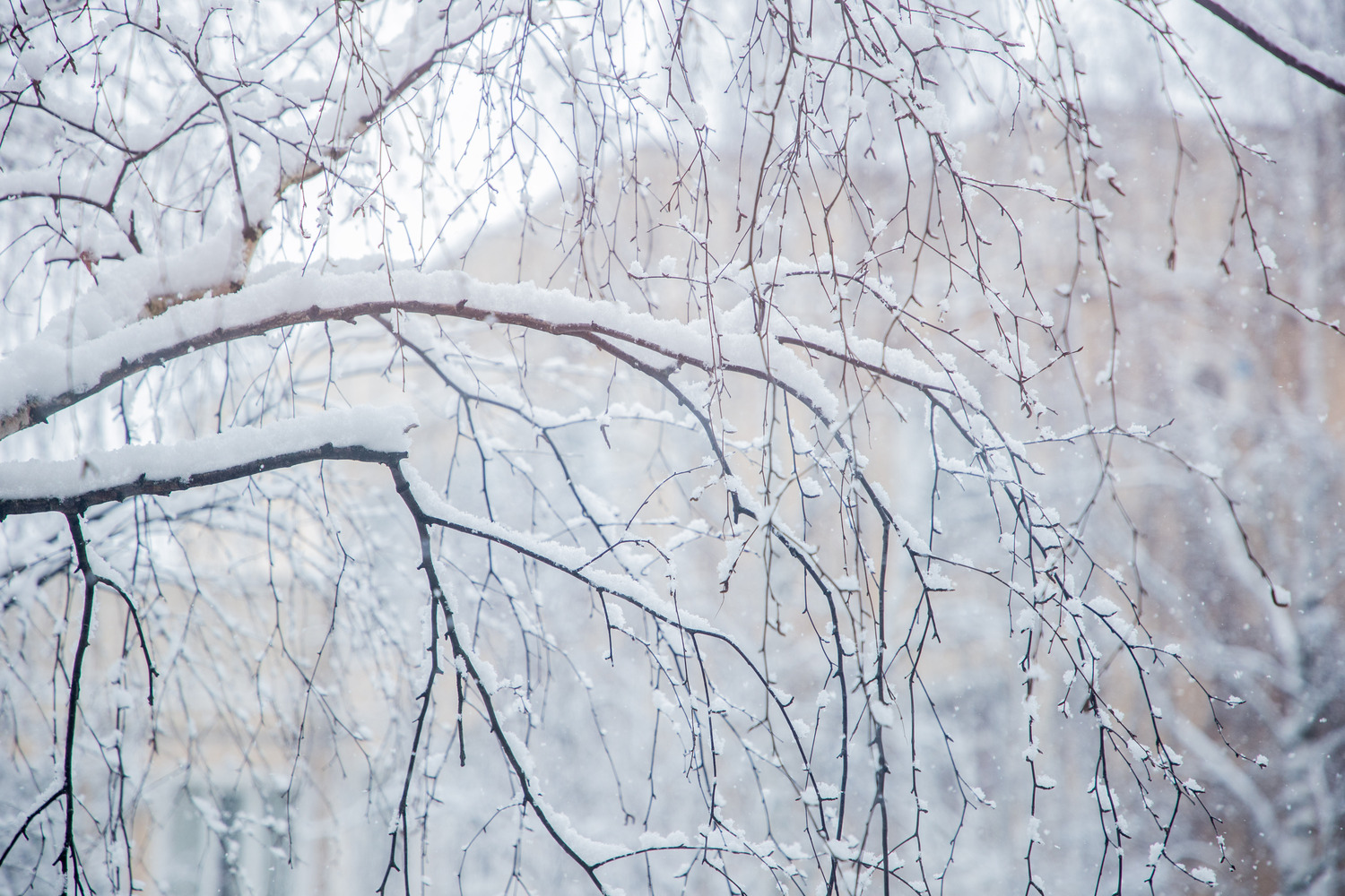 Жителей Тверской области ожидает морозный вторник