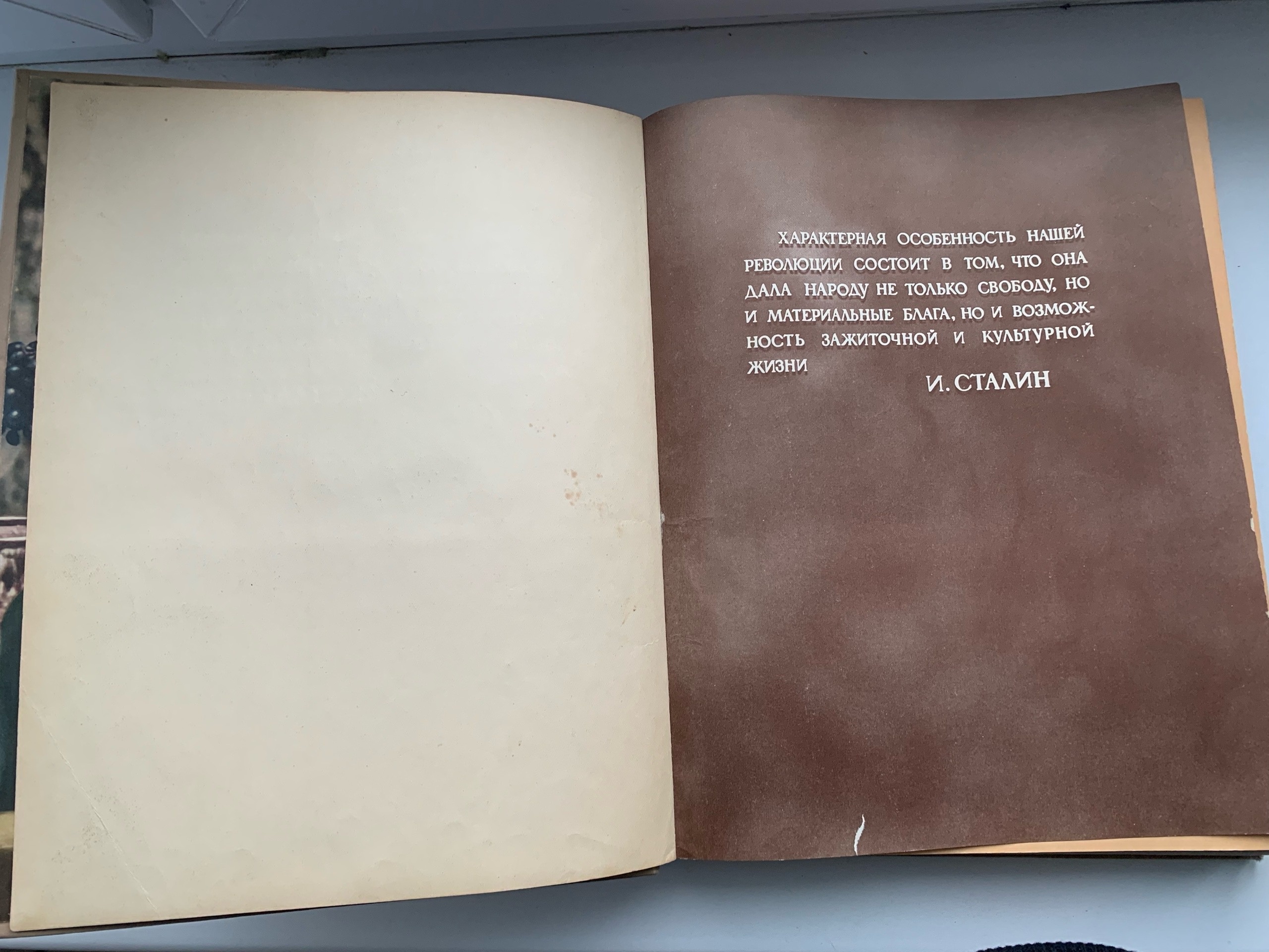 Тайны старых переплетов: в поисках утраченного салата