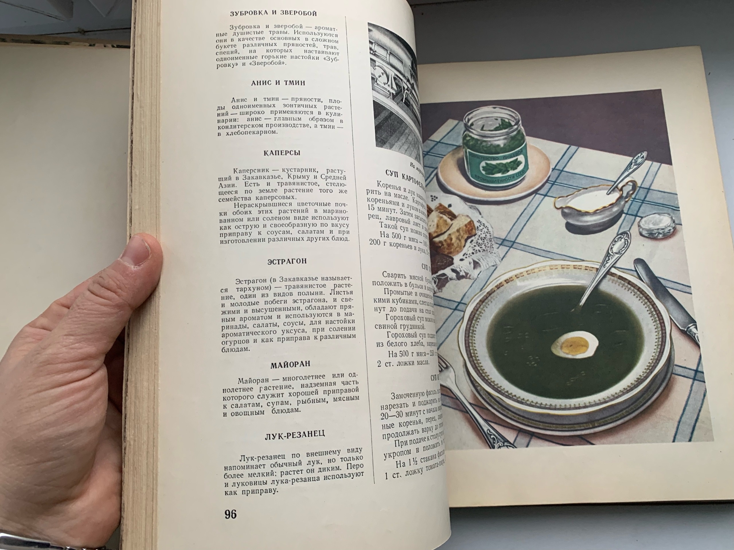 Тайны старых переплетов: в поисках утраченного салата