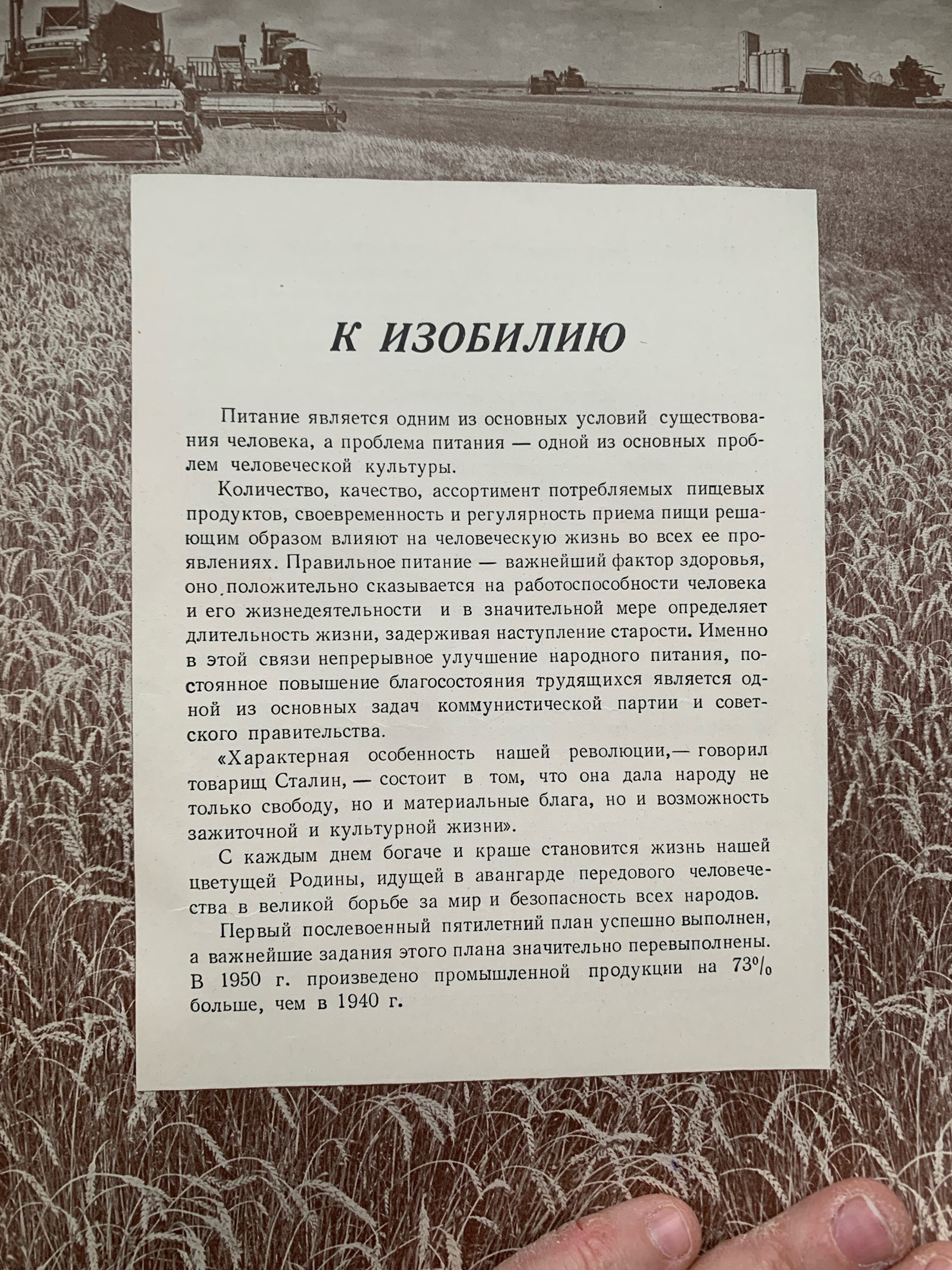 Тайны старых переплетов: в поисках утраченного салата