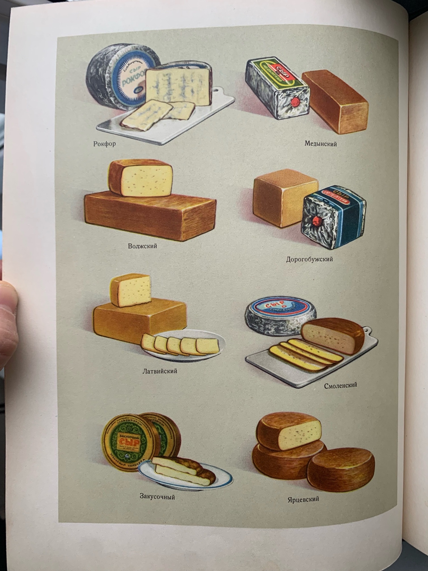 Тайны старых переплетов: в поисках утраченного салата