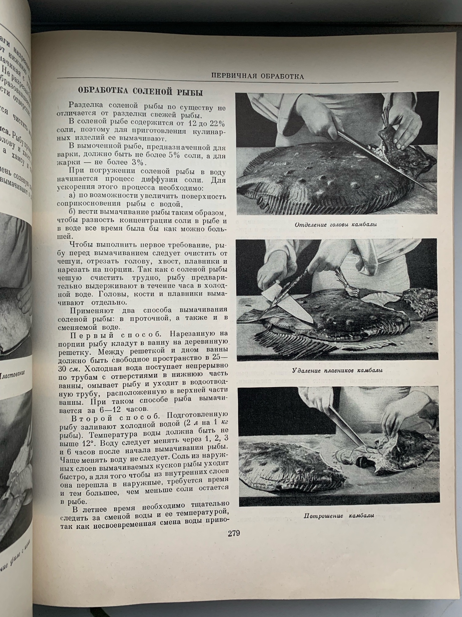 Тайны старых переплетов: в поисках утраченного салата