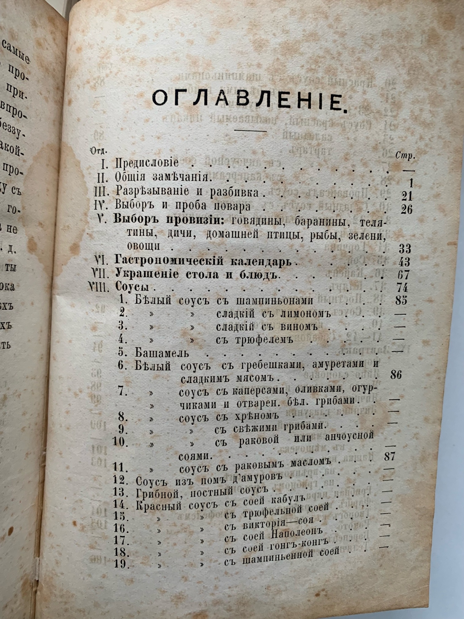 Тайны старых переплетов: в поисках утраченного салата