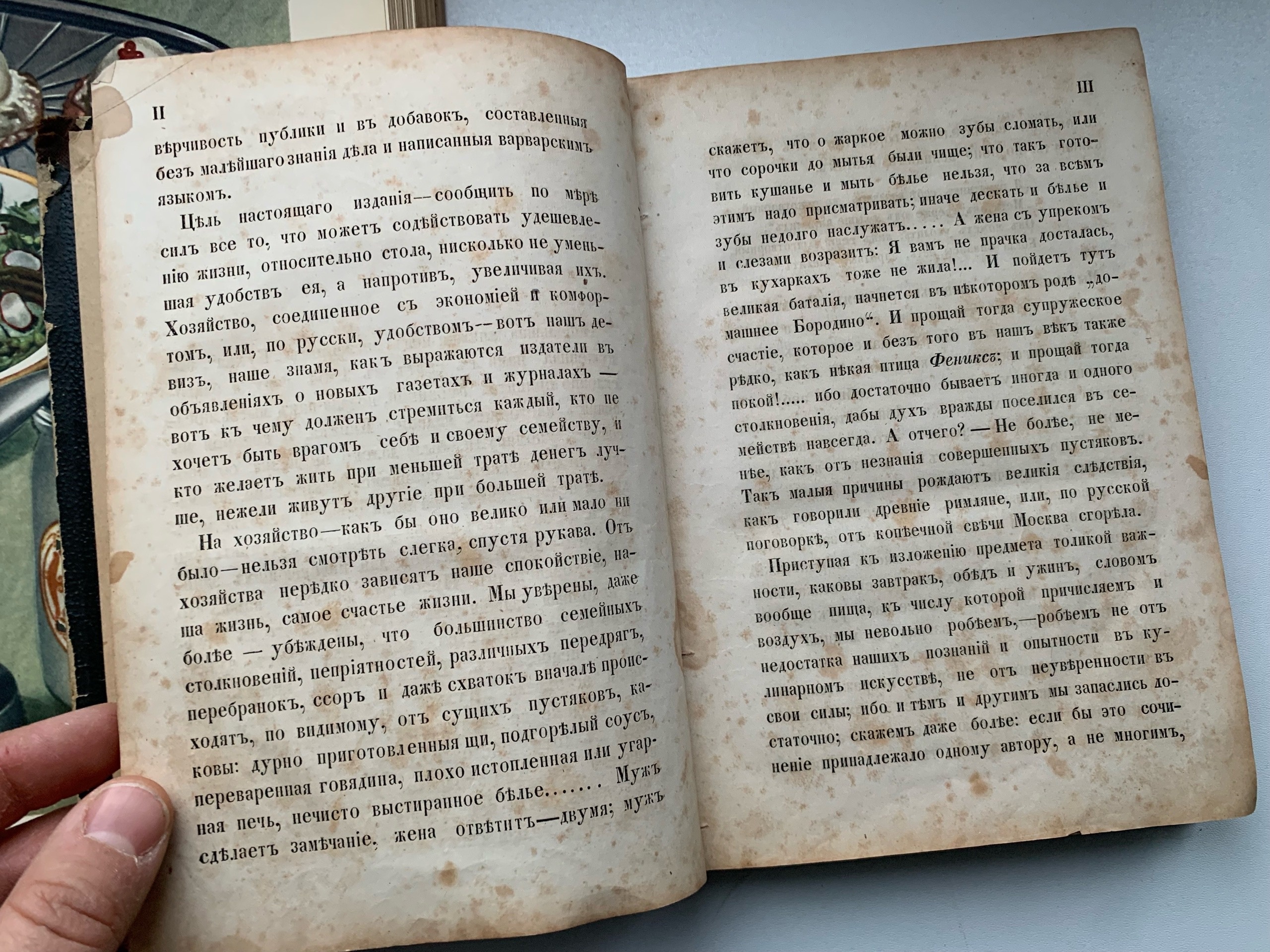 Тайны старых переплетов: в поисках утраченного салата