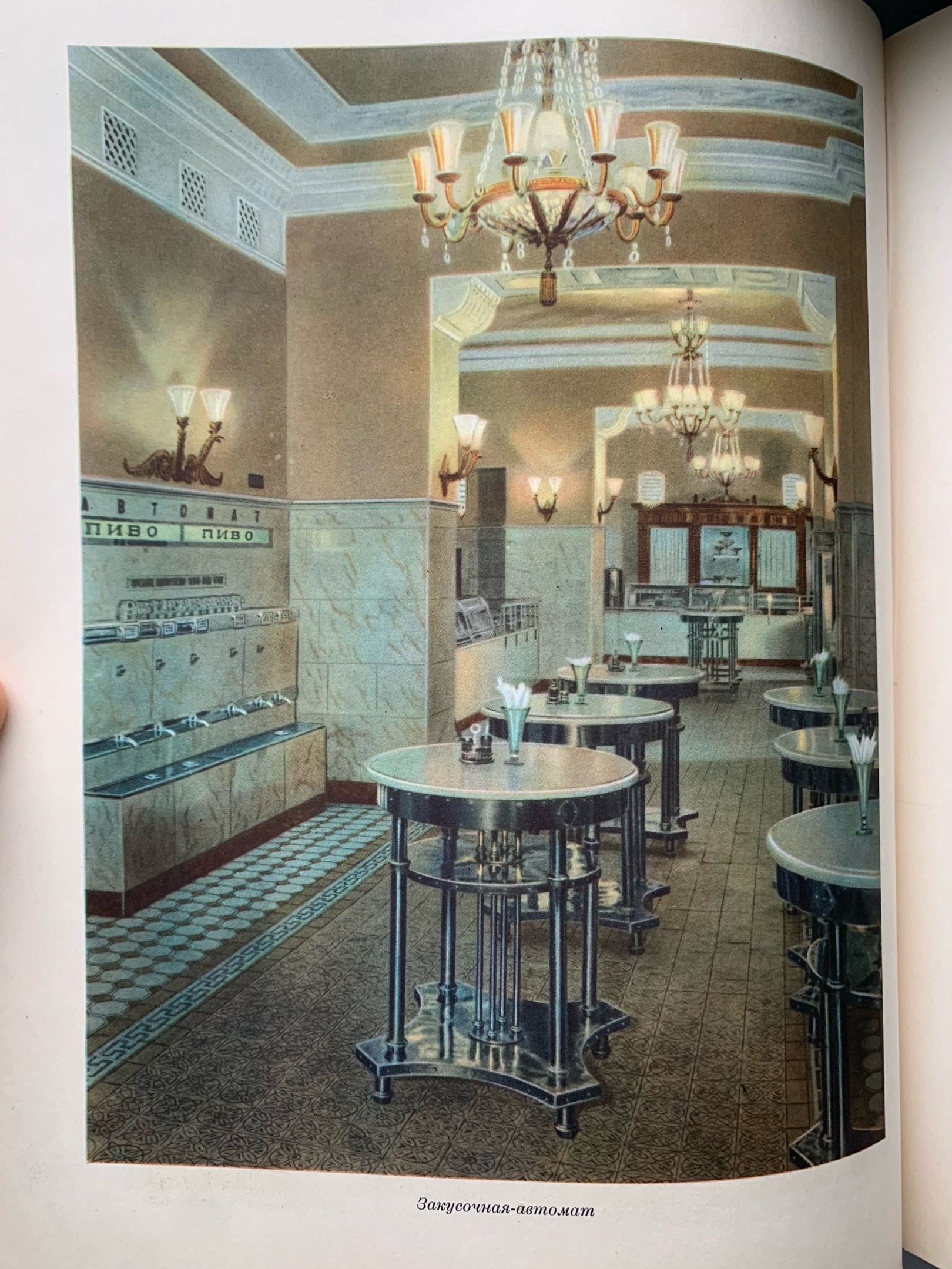 Тайны старых переплетов: в поисках утраченного салата