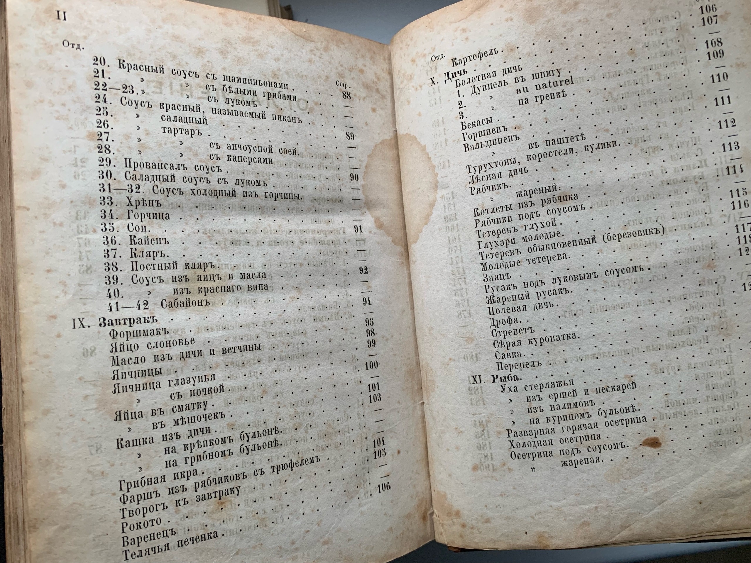 Тайны старых переплетов: в поисках утраченного салата