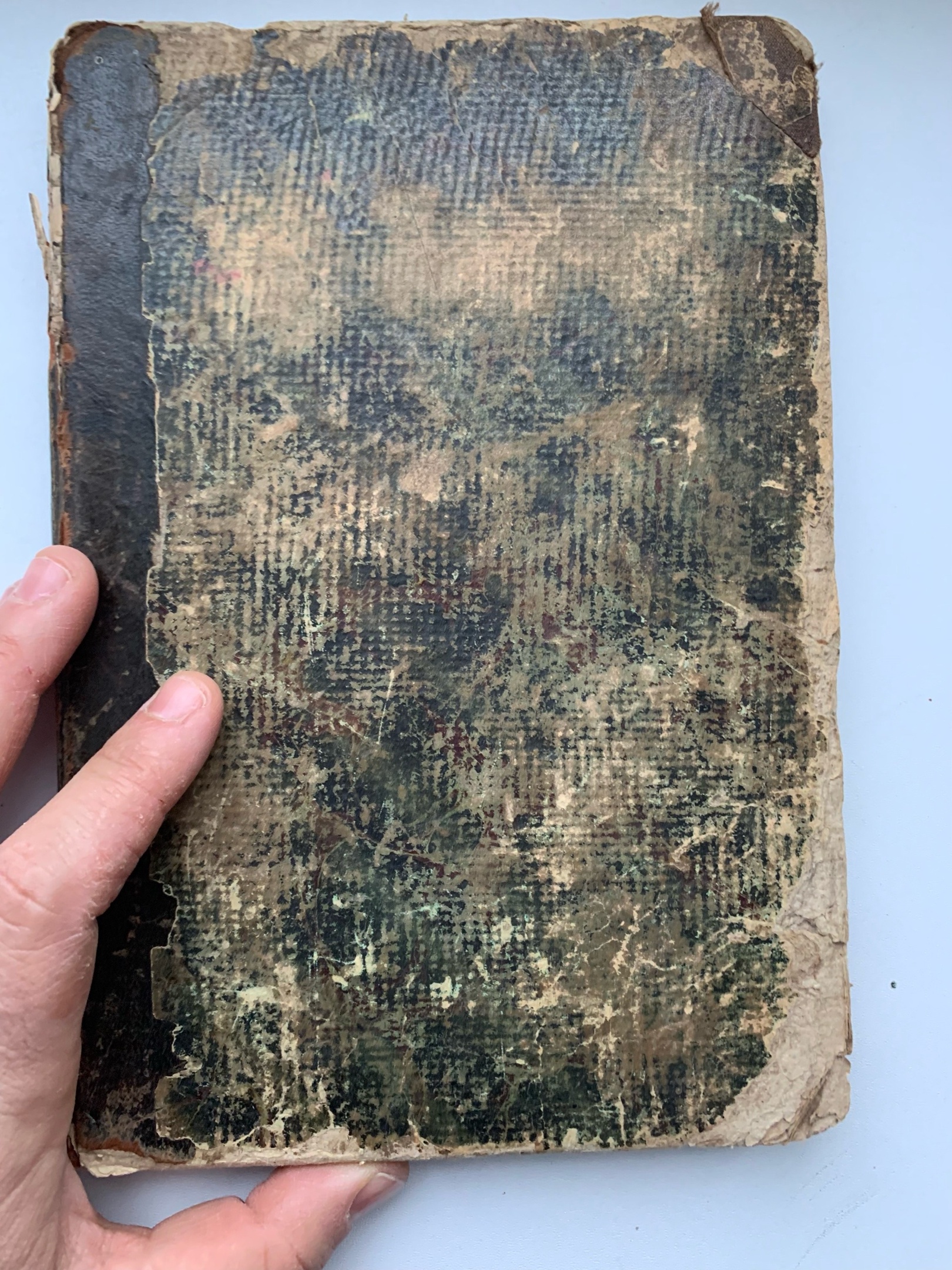 Тайны старых переплетов: в поисках утраченного салата