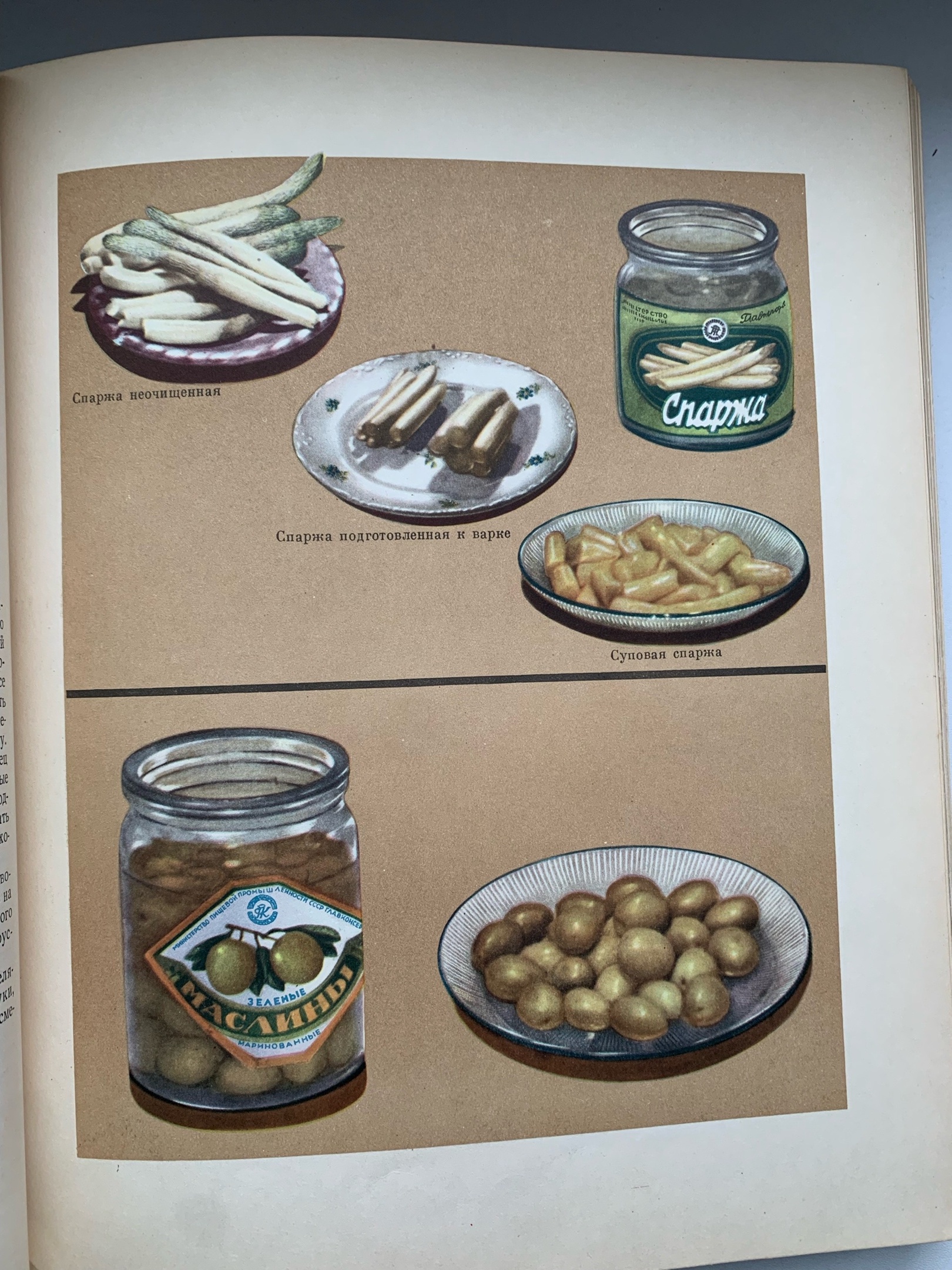 Тайны старых переплетов: в поисках утраченного салата