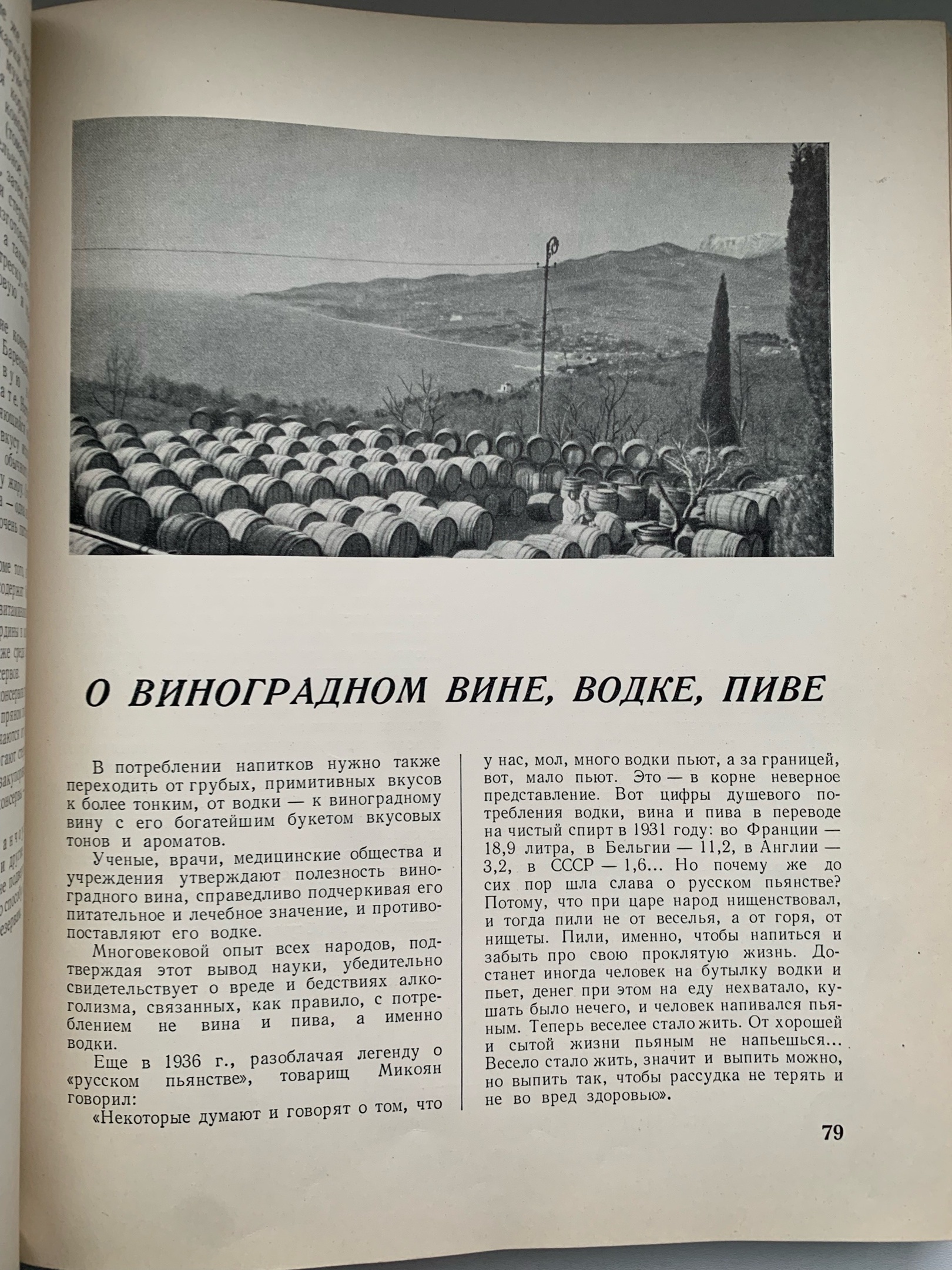 Тайны старых переплетов: в поисках утраченного салата