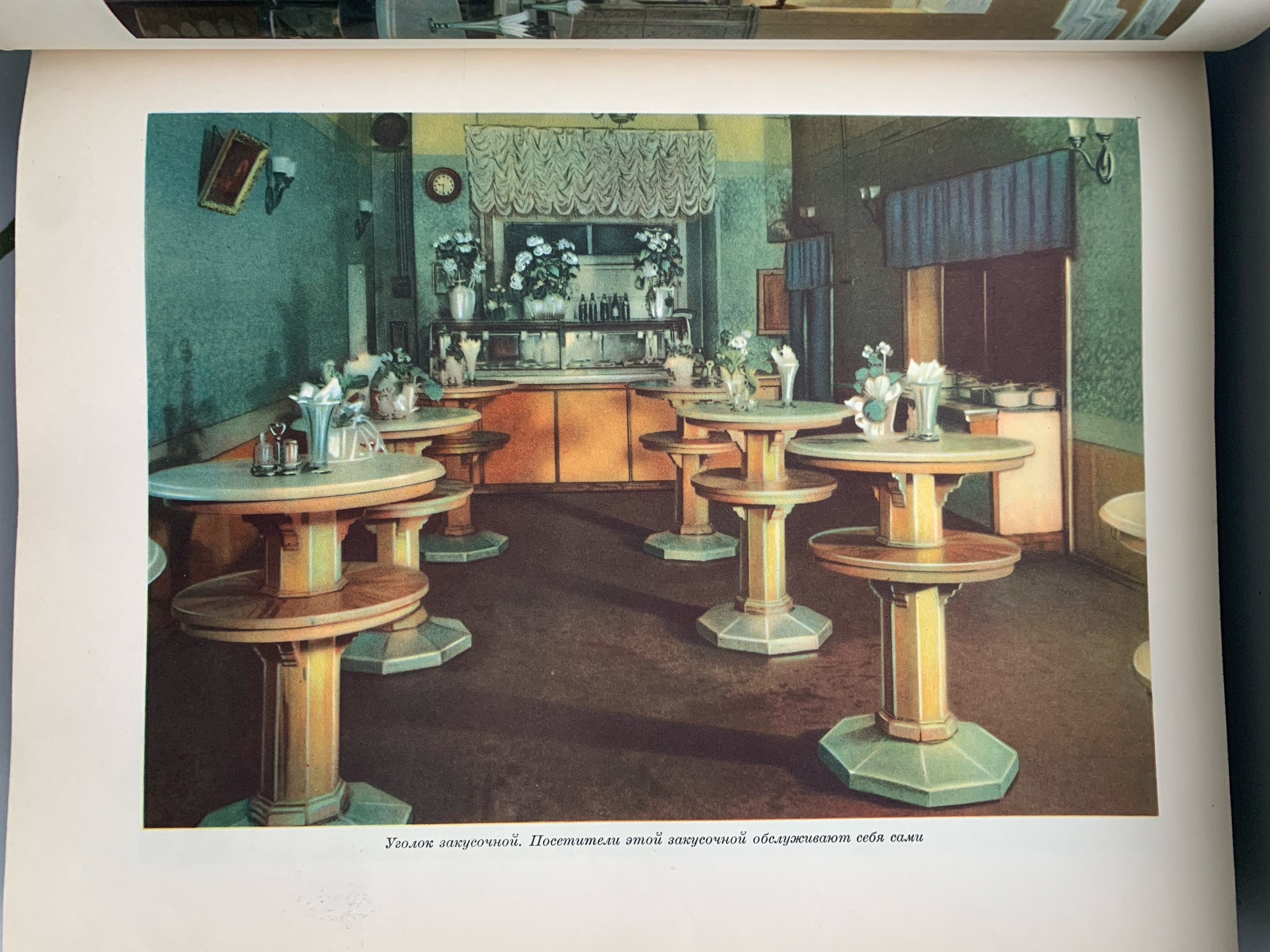 Тайны старых переплетов: в поисках утраченного салата