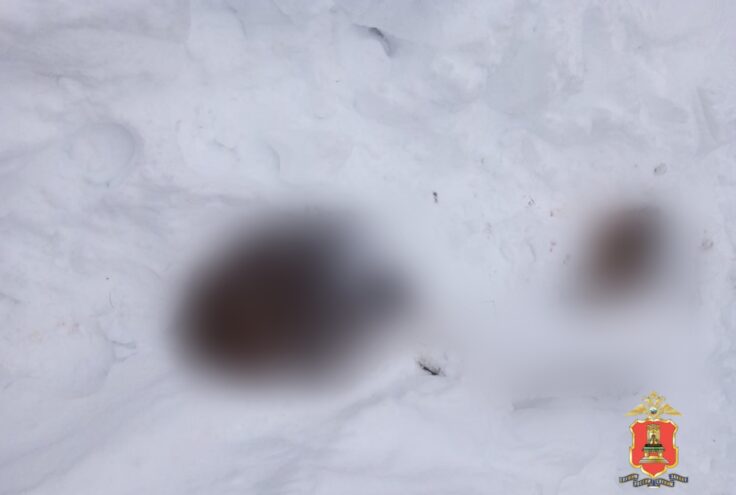 В Старице поймали браконьера В Старице поймали браконьера