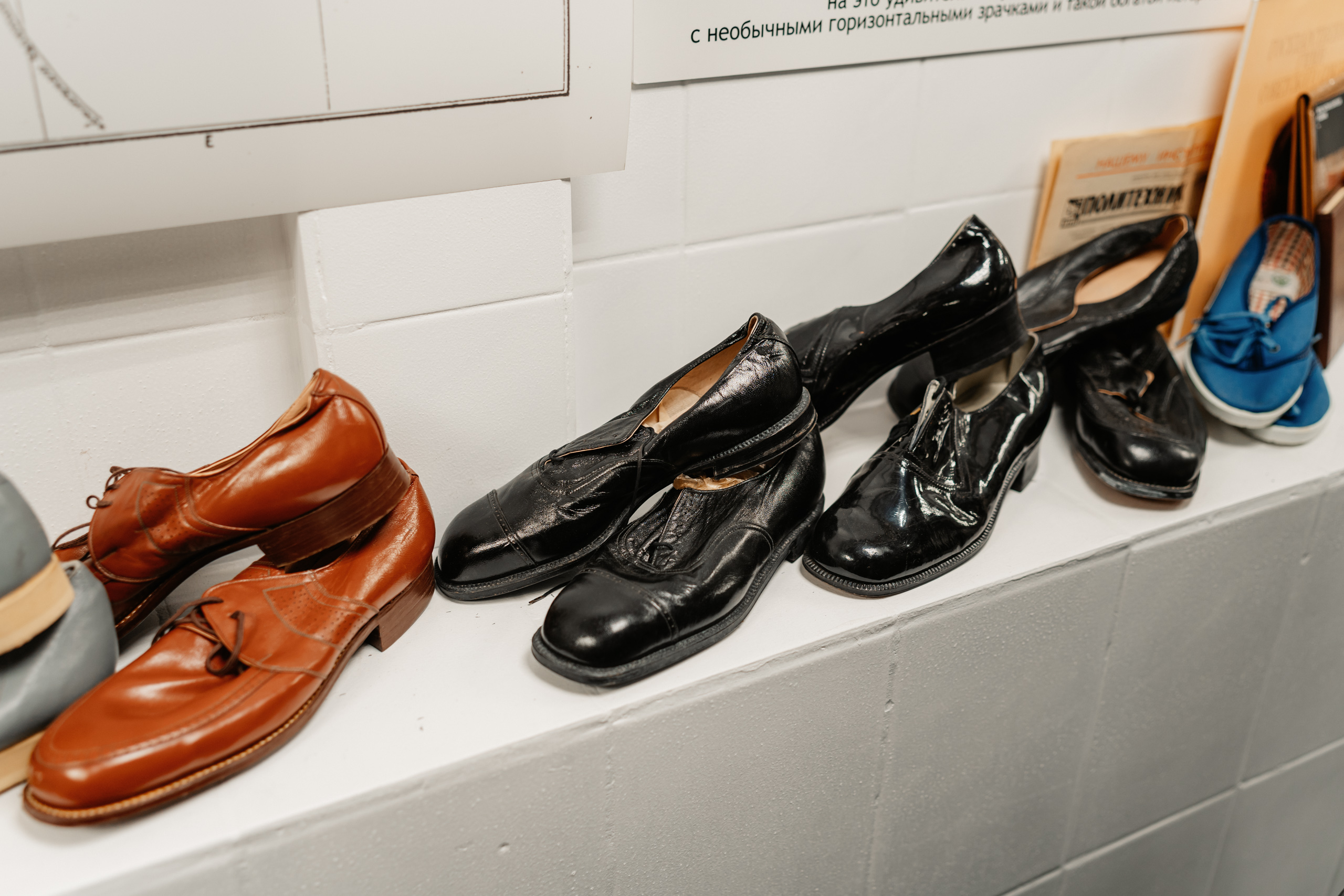 Открываем «Дверь в Тверь»: Чем удивит новое музейное пространство Открываем «Дверь в Тверь»: Чем удивит новое музейное пространство