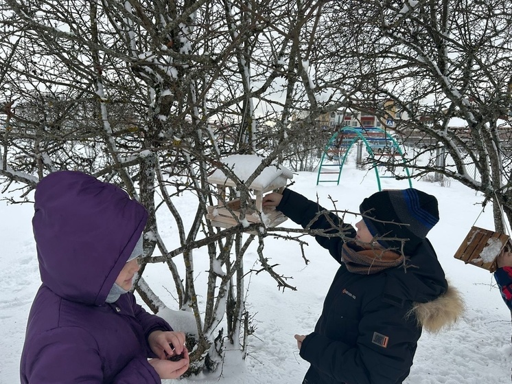 Учащиеся андреапольской школы №3 присоединились к акции "Покормите птиц зимой"