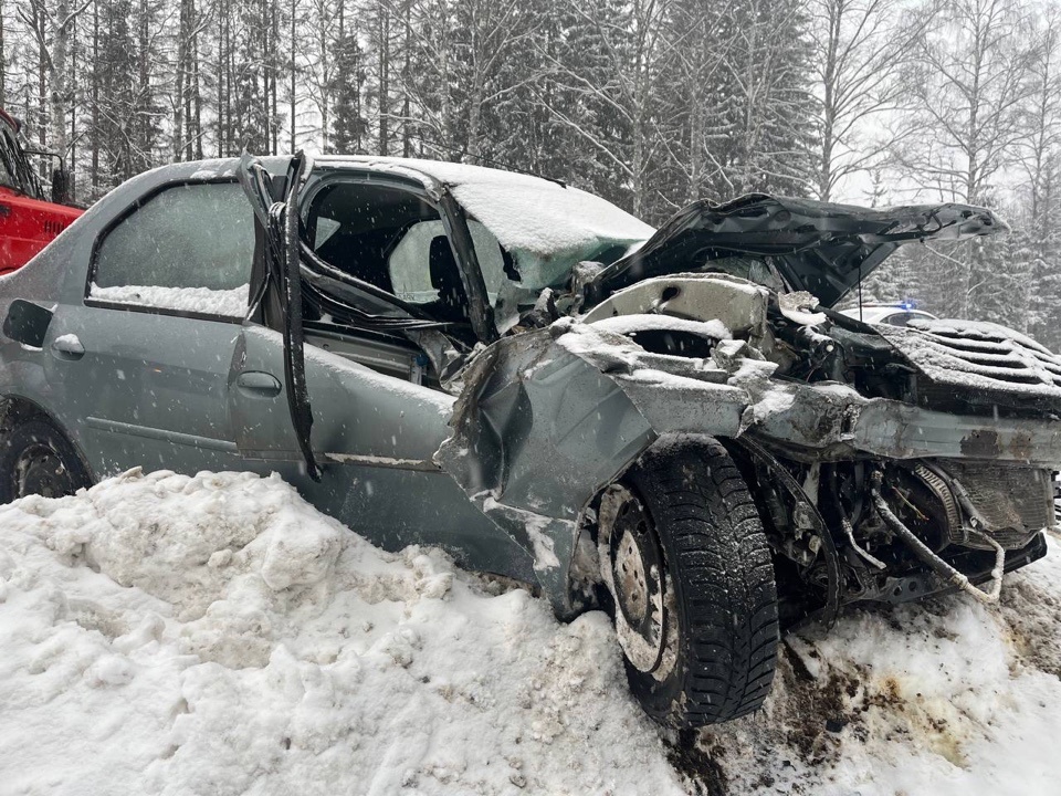 На трассе в Тверской области в ДТП пострадали водитель и пассажир Renault