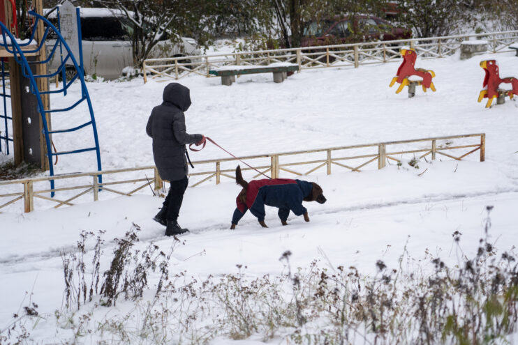 В Тверскую область пришло потепление В Тверскую область пришло потепление