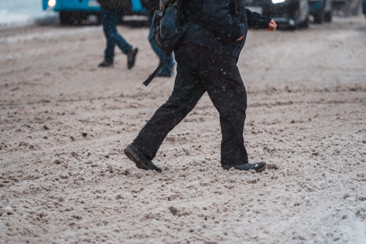 В Тверской области сохранится плюсовая температура