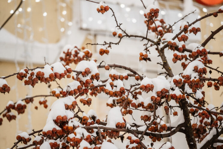 Юные жители Твери узнают тайны природы на Областной станции юннатов