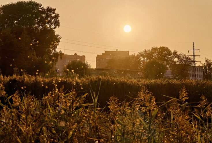 2024 год может стать самым жарким в истории