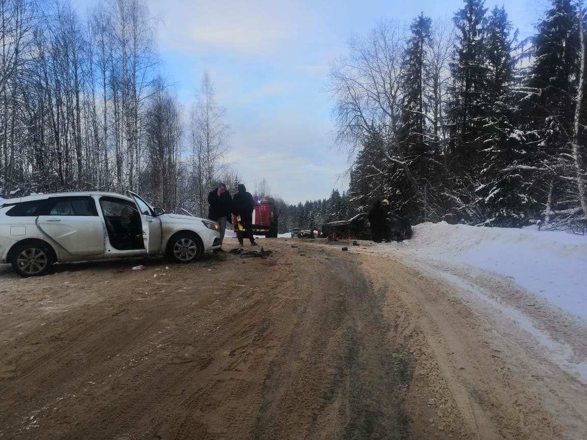 В Тверской области в лобовом столкновении погиб водитель легковушки