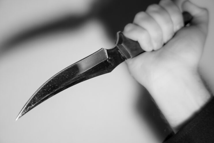 Жительница Тверской области ударила сожителя ножом во время застолья