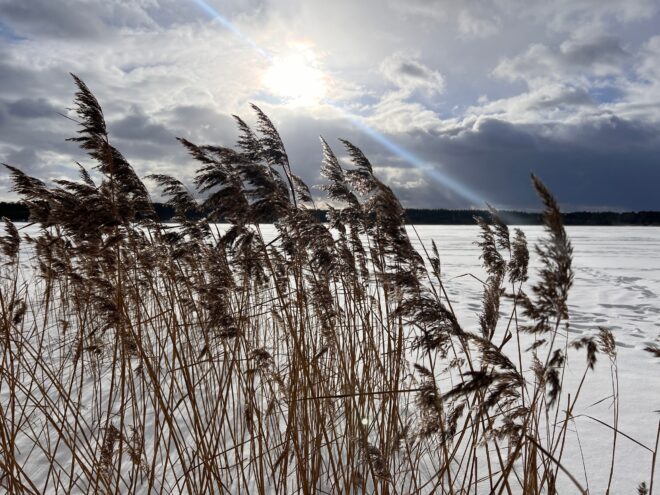 В среду в Тверской области будет по-прежнему солнечно