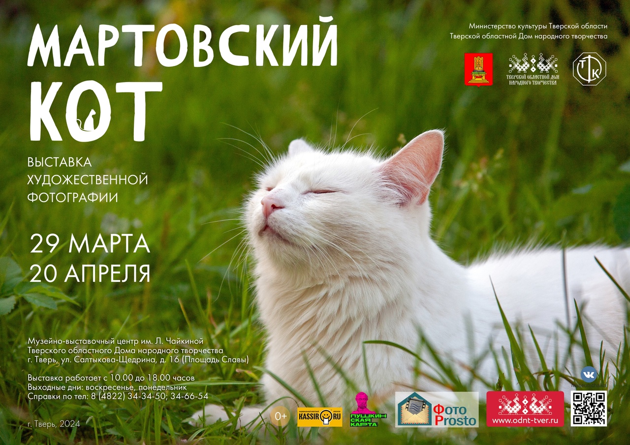 В Твери пройдет фотовыставка мартовских котов