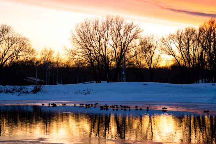 В Тверской области снова похолодает