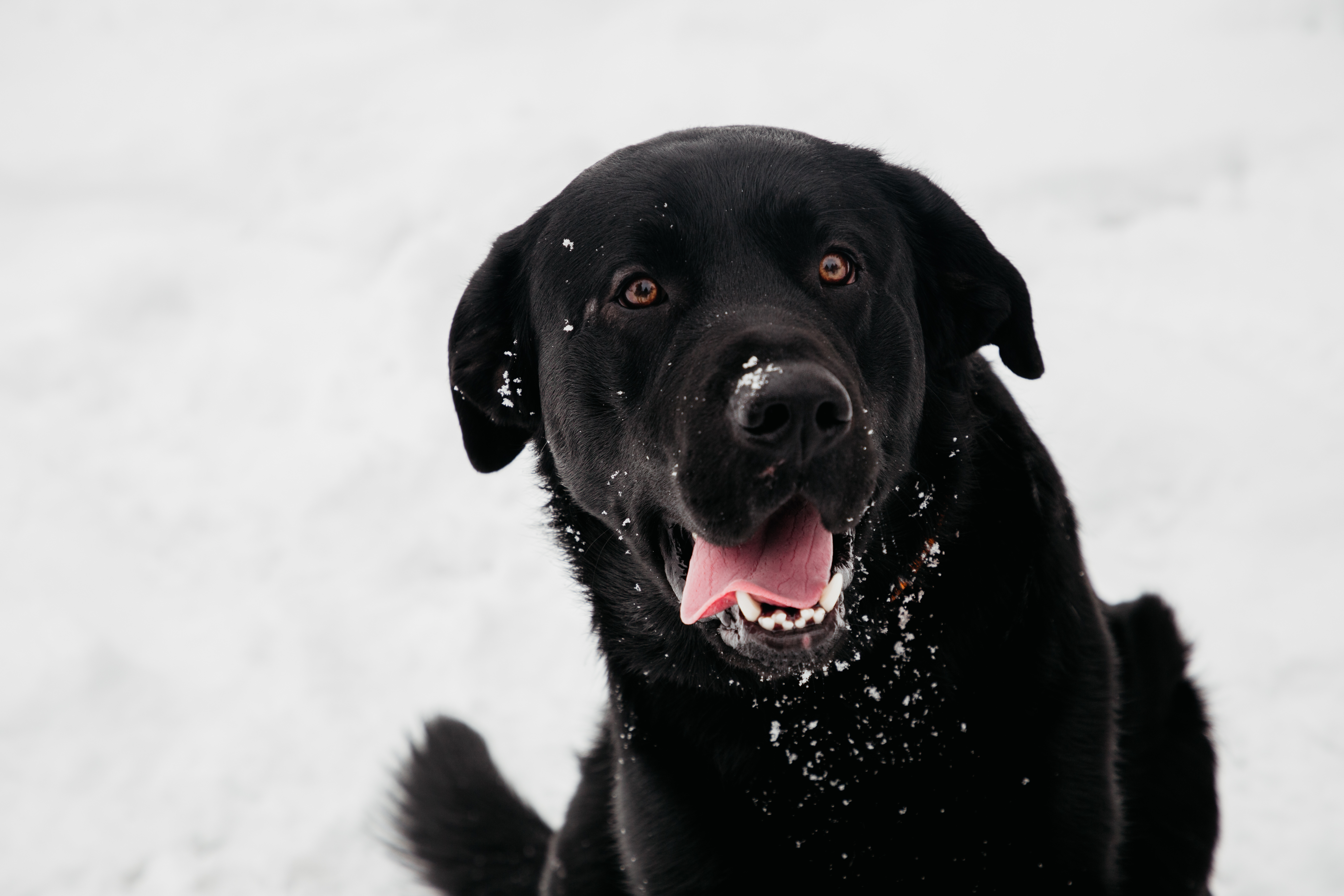 Фотолайфхак: Правильный ракурс – интересное фото