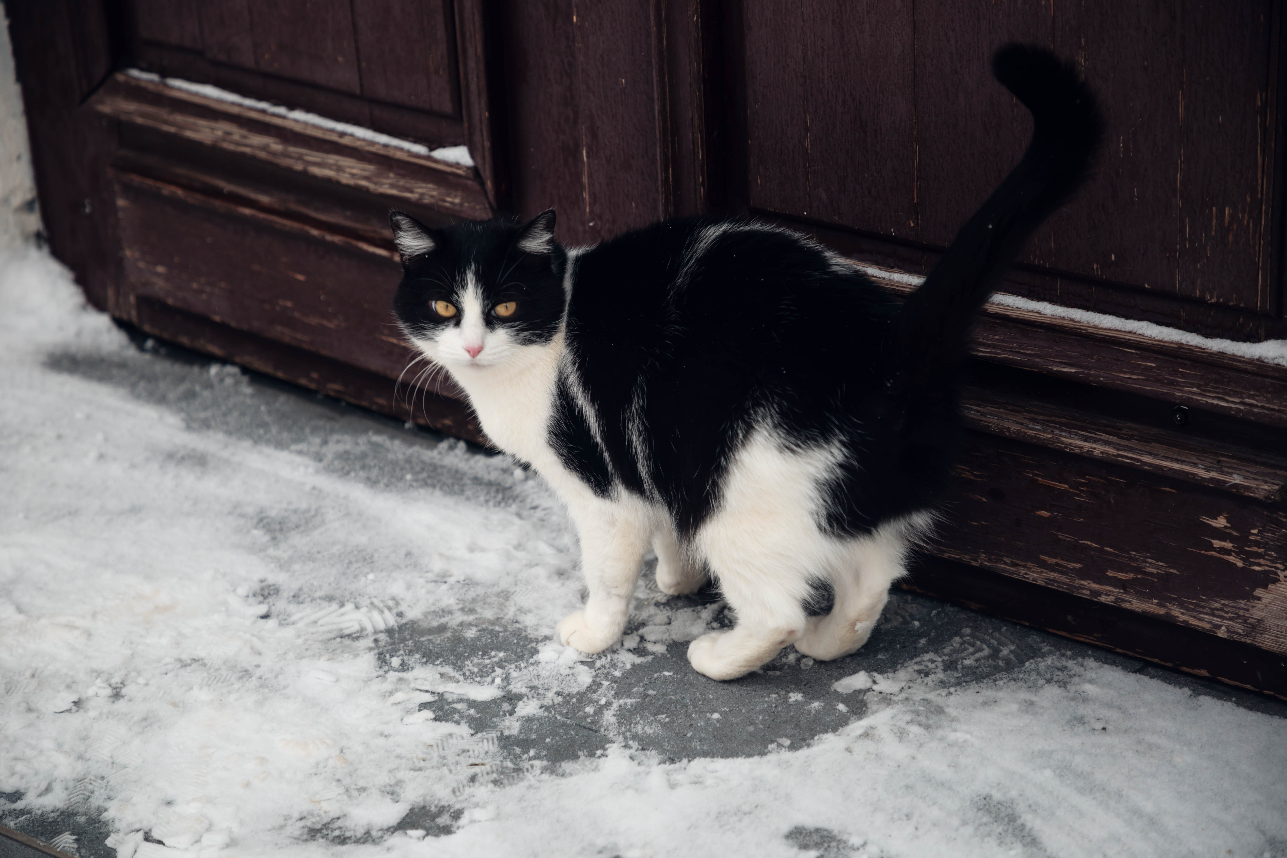 Фотолайфхак: Правильный ракурс – интересное фото