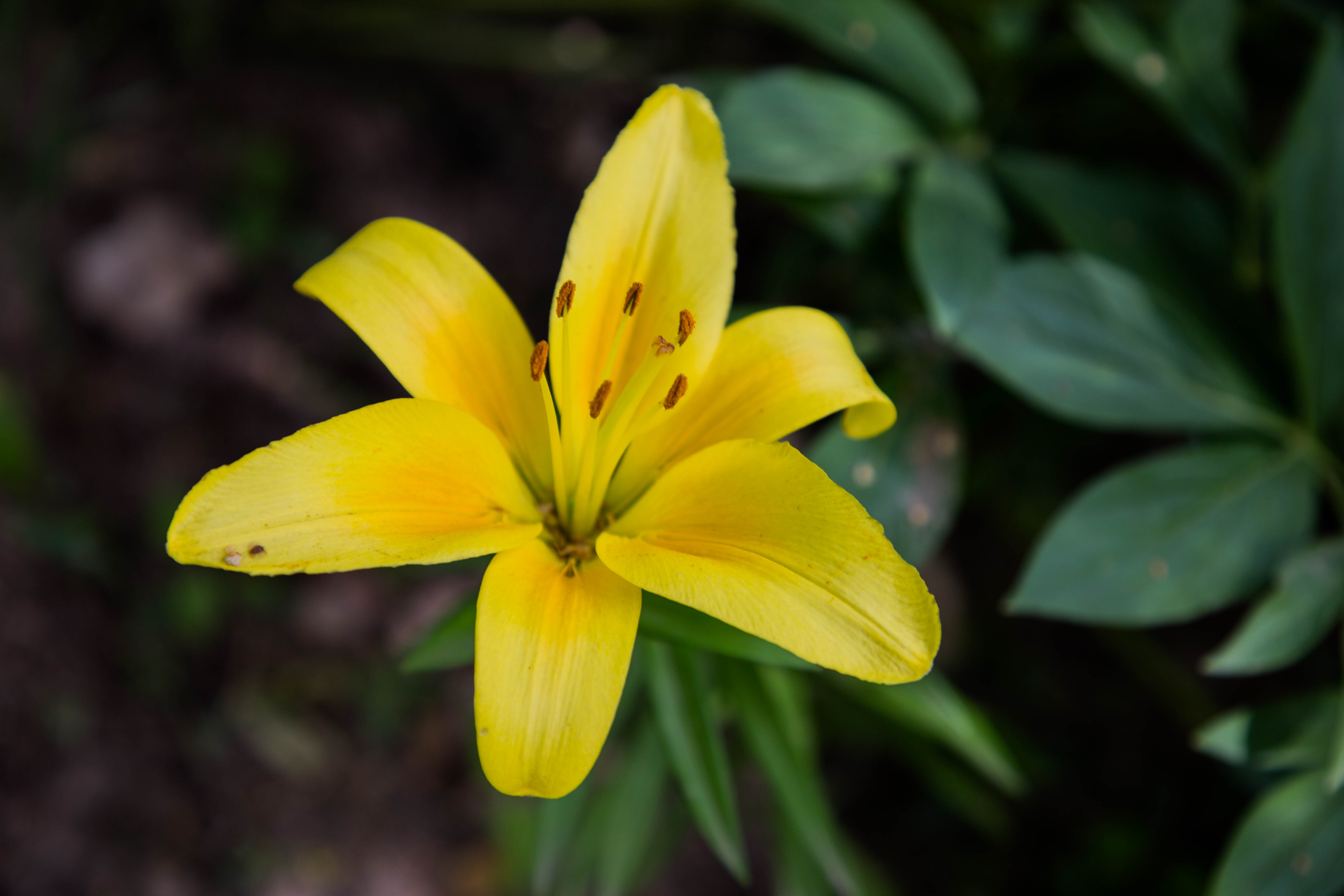 Фотолайфхак: Правильный ракурс – интересное фото